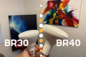 BR30 vs BR40 Bulb: What’s the Difference?